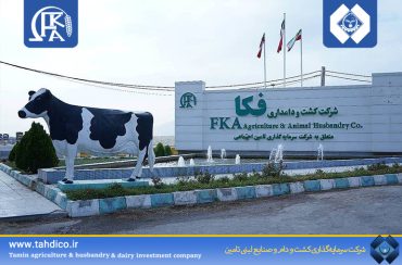 «زفکا» در مسیر توسعه پایدار و دانش‌بنیان؛ فروش ۵۴۱ میلیارد تومانی در خردادماه