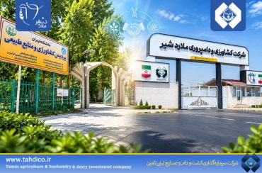 گام بلند هلدینگ تادیکو برای هوشمندسازی صنعت دامپروری؛ همکاری استراتژیک ملاردشیر با دانشگاه تهران