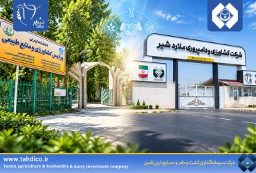 گام بلند هلدینگ تادیکو برای هوشمندسازی صنعت دامپروری؛ همکاری استراتژیک ملاردشیر با دانشگاه تهران