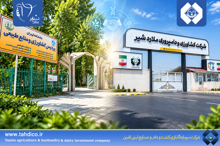 گام بلند هلدینگ تادیکو برای هوشمندسازی صنعت دامپروری؛ همکاری استراتژیک ملاردشیر با دانشگاه تهران