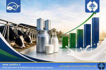 سیگنال مثبت از سودآوری تادیکو؛ جهش ۱۶۳ درصدی درآمدهای عملیاتی گلدشت