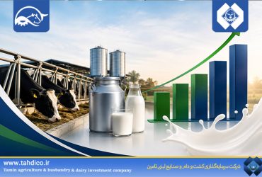 سیگنال مثبت از سودآوری تادیکو؛ جهش ۱۶۳ درصدی درآمدهای عملیاتی گلدشت