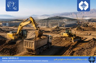 هلدینگ تادیکو شتاب‌دهنده توسعه پروژه ۶ هزار رأسی ملایر؛ پیشرفت همزمان عملیات عمرانی و زیرساختی
