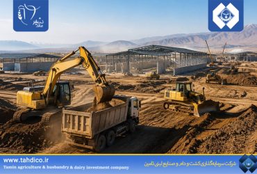هلدینگ تادیکو شتاب‌دهنده توسعه پروژه ۶ هزار رأسی ملایر؛ پیشرفت همزمان عملیات عمرانی و زیرساختی