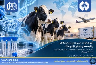 ورود هلدینگ تادیکو به بازار جهانی ژنتیک دام با آغاز صادرات جنین‌های IVF فکا