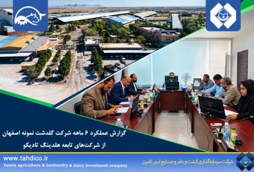 رشد سودآوری در خانواده تادیکو؛ سود خالص گلدشت نمونه اصفهان ۱۵۵ درصد افزایش یافت