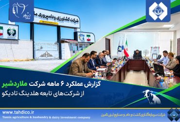 جهش سودآوری در خانواده تادیکو؛ سود خالص ملاردشیر ۲۰۲ درصد افزایش یافت