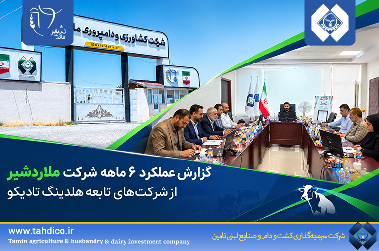 جهش سودآوری در خانواده تادیکو؛ سود خالص ملاردشیر ۲۰۲ درصد افزایش یافت