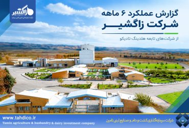 رشد درآمد در خانواده تادیکو؛ درآمدهای عملیاتی دامون زاگرس بروجرد ۸۰ درصد افزایش یافت