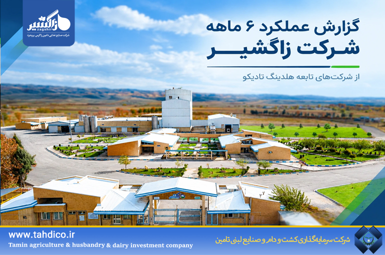 رشد درآمد در خانواده تادیکو؛ درآمدهای عملیاتی دامون زاگرس بروجرد ۸۰ درصد افزایش یافت