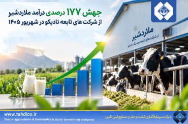 جهش ۱۷۷ درصدی درآمد ملاردشیر از شرکت‌های تابعه تادیکو در شهریور ۱۴۰۵