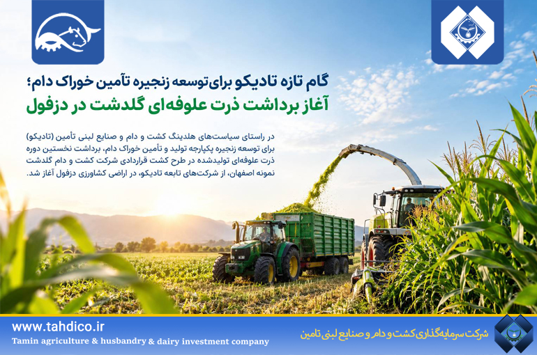 گام تازه تادیکو برای توسعه زنجیره تأمین خوراک دام؛ آغاز برداشت ذرت علوفه‌ای گلدشت در دزفول