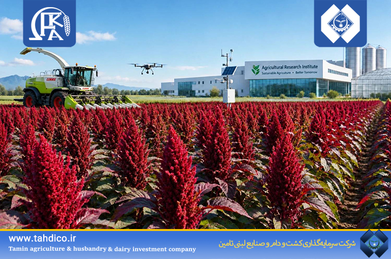 گام بلند هلدینگ تادیکو در تحول کشاورزی پایدار؛ ثبت رکورد ۵۶ تن علوفه در هکتار با الگوی کشت هوشمند